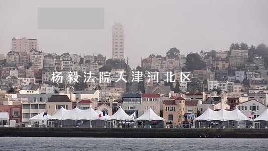 杨毅法院天津河北区