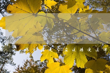 杨永信是否应该接受法律制裁 杨永信是否应该接受法律制裁