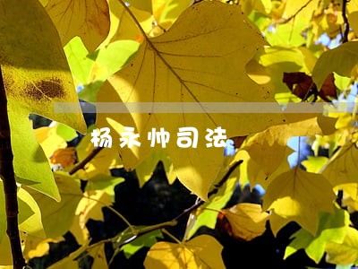 杨永帅司法 杨永帅司法