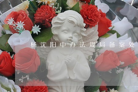 杨沈阳中办法规局备案处 杨沈阳中办法规局备案处
