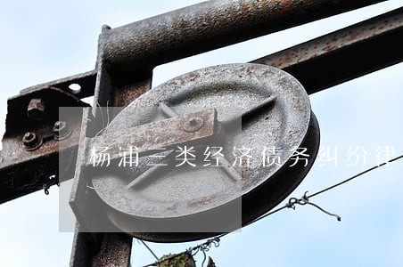 杨浦三类经济债务纠纷律师 杨浦三类经济债务纠纷律师