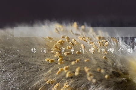 杨浦二审申诉律师哪个好 杨浦二审申诉律师哪个好