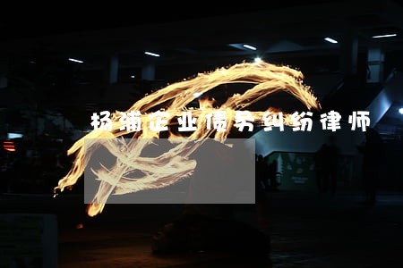 杨浦企业债务纠纷律师 杨浦企业债务纠纷律师