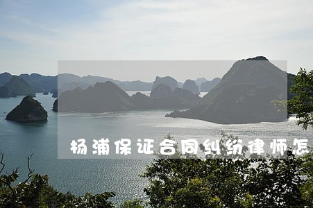 杨浦保证合同纠纷律师怎么委托 杨浦保证合同纠纷律师怎么委托
