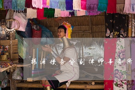 杨浦债务分割律师事务所
