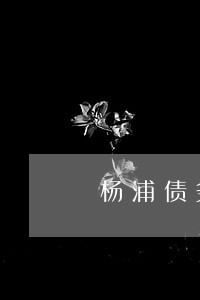 杨浦债务执行律师服务 杨浦债务执行律师服务