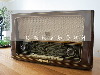 杨浦债务融资律师