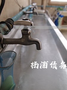 杨浦债务追讨律师推荐 杨浦债务追讨律师推荐