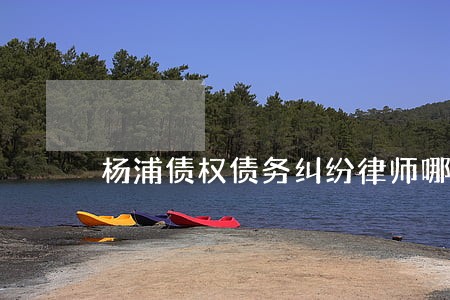 杨浦债权债务纠纷律师哪家好