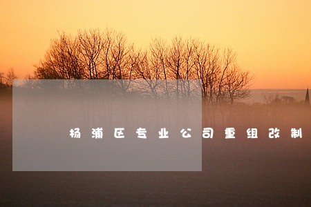 杨浦区专业公司重组改制律师 杨浦区专业公司重组改制律师