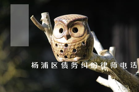 杨浦区债务纠纷律师电话 杨浦区债务纠纷律师电话