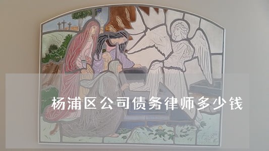杨浦区公司债务律师多少钱 杨浦区公司债务律师多少钱