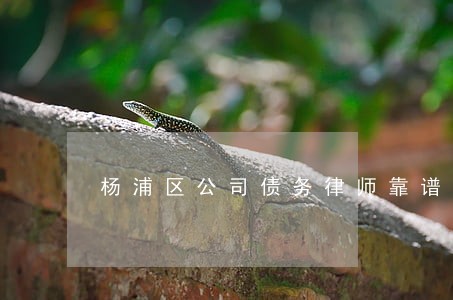 杨浦区公司债务律师靠谱吗 杨浦区公司债务律师靠谱吗