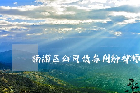 杨浦区公司债务纠纷律师