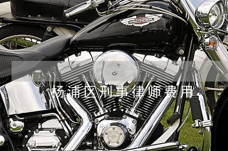 杨浦区刑事律师费用 杨浦区刑事律师费用
