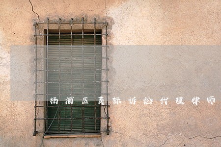 杨浦区商标诉讼代理律师代理费用 杨浦区商标诉讼代理律师代理费用