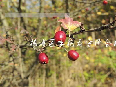 杨浦区委托看守所会见律师 杨浦区委托看守所会见律师