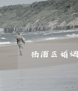 杨浦区婚姻家庭纠纷律师找哪个 杨浦区婚姻家庭纠纷律师找哪个