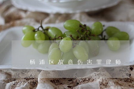 杨浦区故意伤害罪律师 杨浦区故意伤害罪律师
