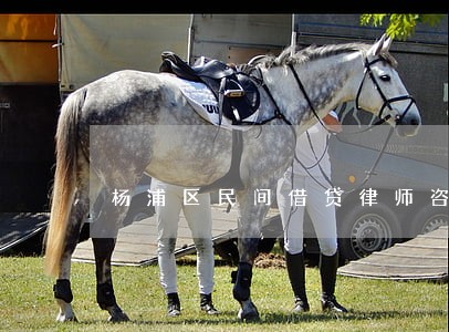 杨浦区民间借贷律师咨询电话 杨浦区民间借贷律师咨询电话