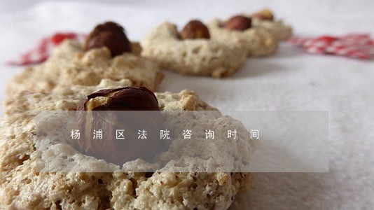 杨浦区法院咨询时间