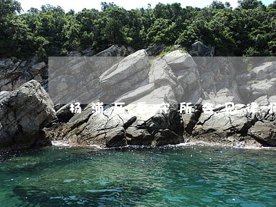 杨浦区看守所会见律师代理费 杨浦区看守所会见律师代理费