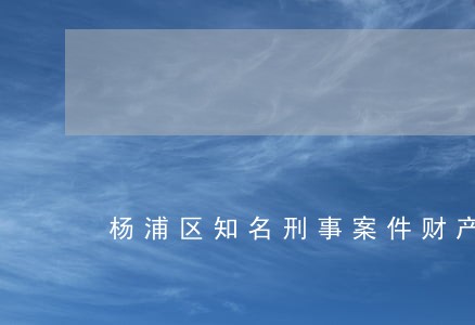 杨浦区知名刑事案件财产纠纷律师 杨浦区知名刑事案件财产纠纷律师
