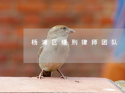 杨浦区缓刑律师团队
