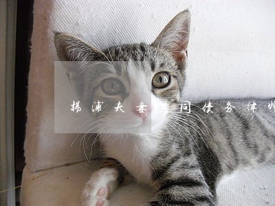 杨浦夫妻共同债务律师 杨浦夫妻共同债务律师