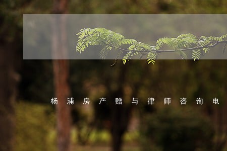 杨浦房产赠与律师咨询电话 杨浦房产赠与律师咨询电话