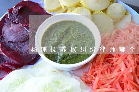 杨浦抚养权纠纷律师哪个好 杨浦抚养权纠纷律师哪个好