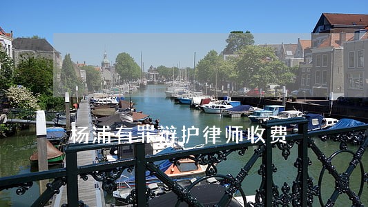 杨浦有罪辩护律师收费 杨浦有罪辩护律师收费