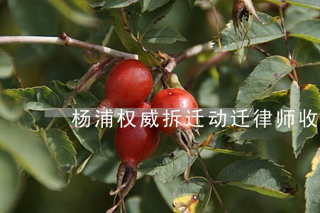 杨浦权威拆迁动迁律师收费 杨浦权威拆迁动迁律师收费