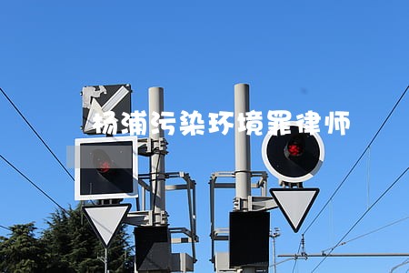 杨浦污染环境罪律师 杨浦污染环境罪律师