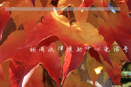 杨浦法律援助中心电话号码 杨浦法律援助中心电话号码