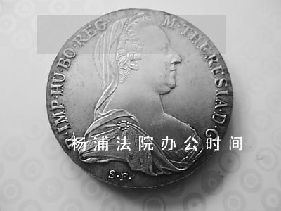 杨浦法院办公时间