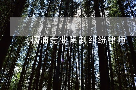 杨浦竞业限制纠纷律师 杨浦竞业限制纠纷律师