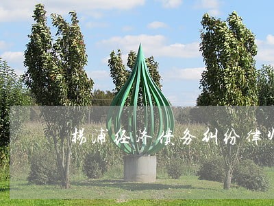 杨浦经济债务纠纷律师 杨浦经济债务纠纷律师