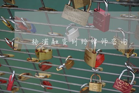 杨浦融资纠纷律师咨询 杨浦融资纠纷律师咨询