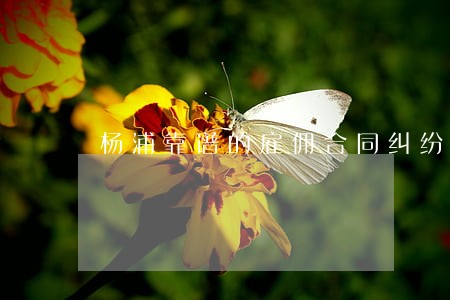 杨浦靠谱的雇佣合同纠纷律师 杨浦靠谱的雇佣合同纠纷律师