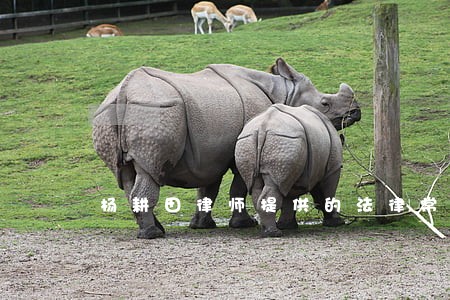 杨耕田律师提供的法律常识 杨耕田律师提供的法律常识