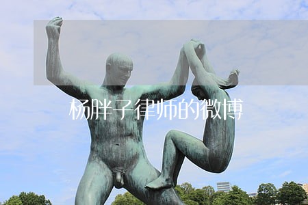 杨胖子律师的微博 杨胖子律师的微博