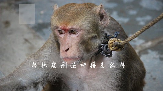 杨艳霞刑法讲得怎么样 杨艳霞刑法讲得怎么样