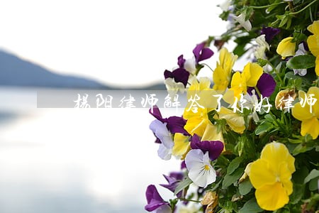 杨阳律师解答了你好律师 杨阳律师解答了你好律师