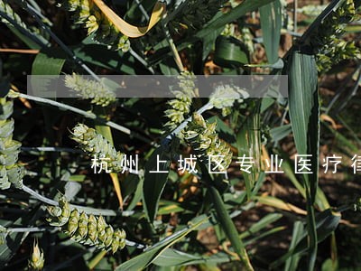 杭州上城区专业医疗律师 杭州上城区专业医疗律师