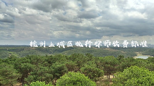 杭州上城区执行律师收费标准 杭州上城区执行律师收费标准