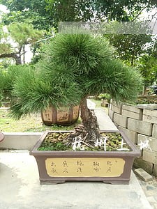 杭州上城区请刑事律师费用多少 杭州上城区请刑事律师费用多少