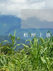 杭州上城找办理缓刑律师 杭州上城找办理缓刑律师
