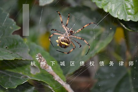 杭州下城区债权债务律师详情咨询 杭州下城区债权债务律师详情咨询