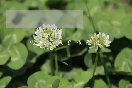 杭州下城区法院速裁 杭州下城区法院速裁